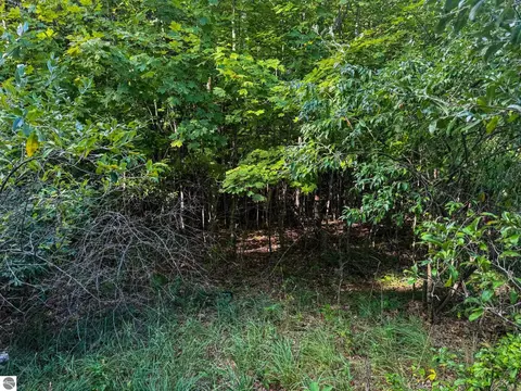 Parcel 3 E Darga Road, Cedar, MI 49621 photo 13