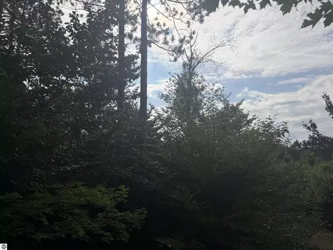 0000 King Rd, Benzonia, MI 49616