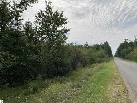 V/l Wiltse Road, Lupton, MI 48635 photo 2