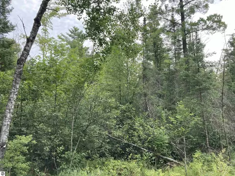 V/l Wiltse Road, Lupton, MI 48635 photo 8