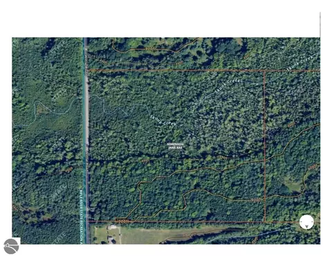 V/l Wiltse Road, Lupton, MI 48635 photo 32