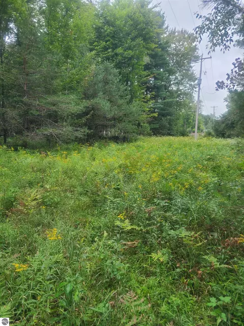 00 M-55, Whittemore, MI 48770