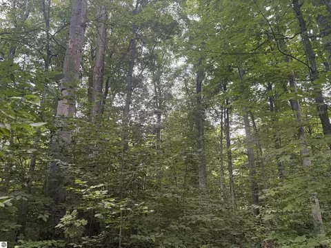 S Hemlock Road, Cedar, KY 40621 photo 8