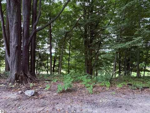 11759 E M 72, Williamsburg, MI 49690 photo 48