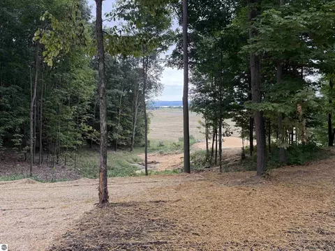 11759 E M 72, Williamsburg, MI 49690 photo 18