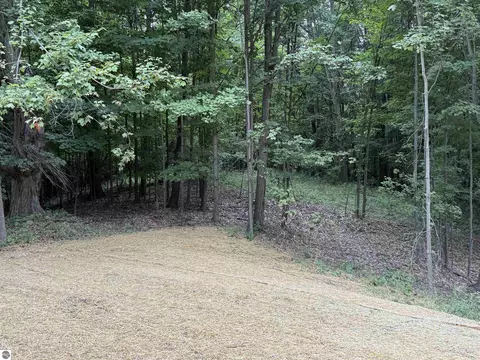 11759 E M 72, Williamsburg, MI 49690 photo 52