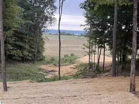 11759 E M 72, Williamsburg, MI 49690 photo 23