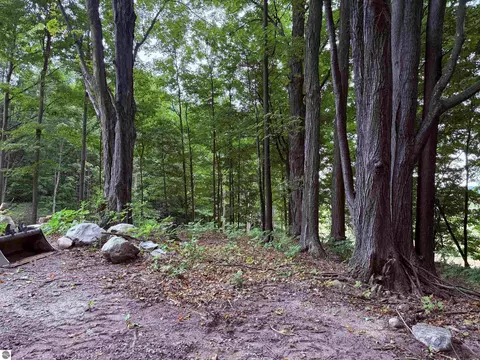 11759 E M 72, Williamsburg, MI 49690 photo 49