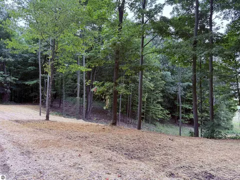 11759 E M 72, Williamsburg, MI 49690 photo 45