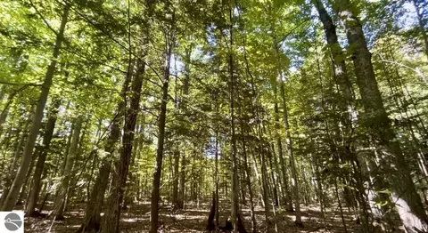00 Langs Ln, Interlochen, MI 49643 photo 3