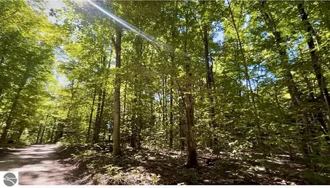 00 Langs Ln, Interlochen, MI 49643 photo 2