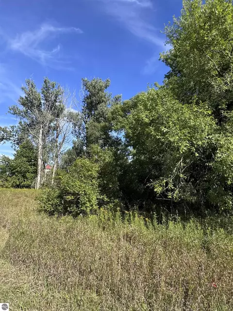 01 First St, Mesick, MI 49668 photo 16