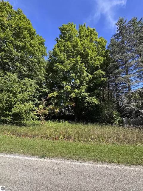 01 First St, Mesick, MI 49668 photo 10