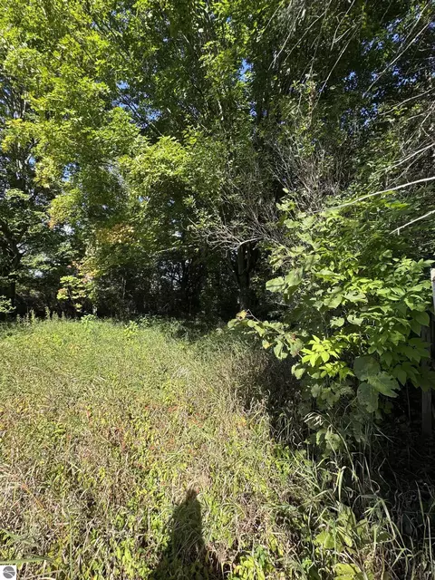01 First St, Mesick, MI 49668 photo 13