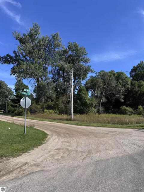 01 First St, Mesick, MI 49668 photo 18