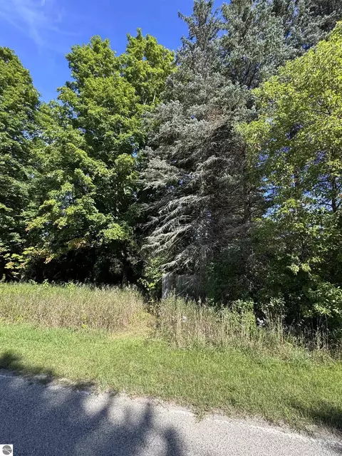 02 First St, Mesick, MI 49668 photo 11