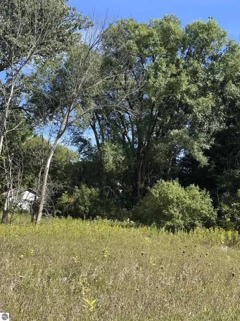 02 First St, Mesick, MI 49668 photo 2