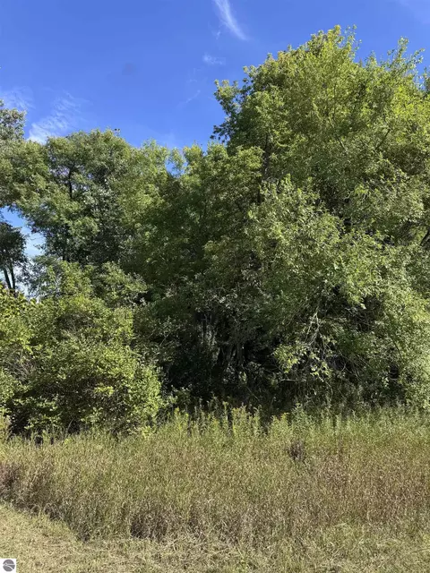 02 First St, Mesick, MI 49668 photo 3