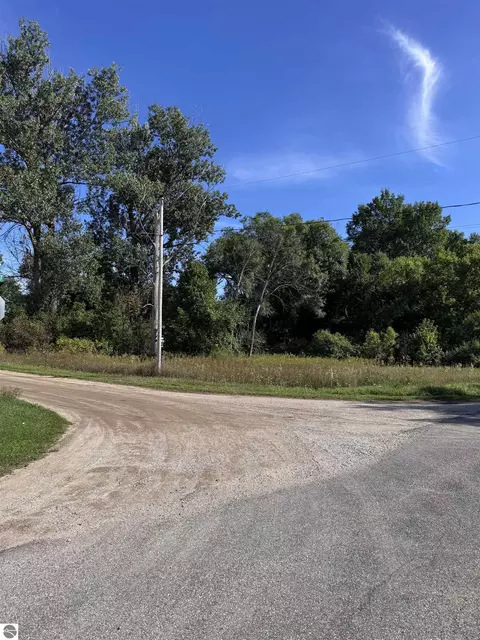 02 First St, Mesick, MI 49668 photo 19