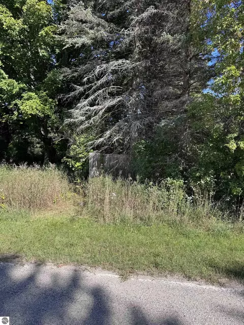 02 First St, Mesick, MI 49668 photo 12