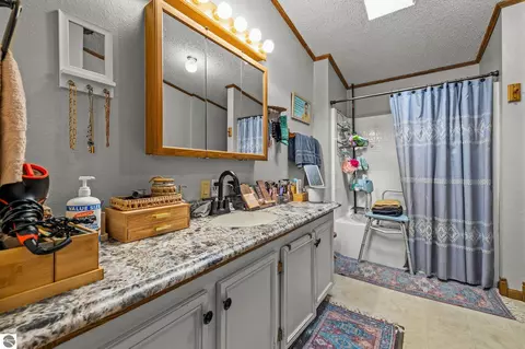 Bath - 4812 SE County Line Rd, Shepherd, MI 48883 photo 1 of 2