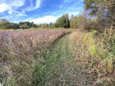 311 S Castor Rd, Shepherd, MI 48883 photo 20