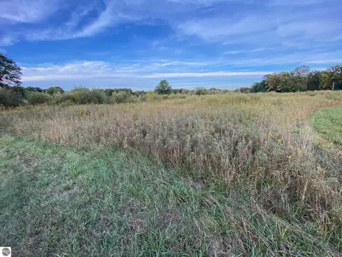 311 S Castor Rd, Shepherd, MI 48883 photo 3