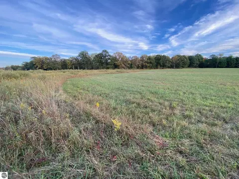 311 S Castor Rd, Shepherd, MI 48883 photo 2
