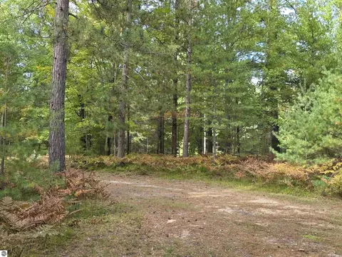 3467 River Park Dr, Grayling, MI 49738 photo 9