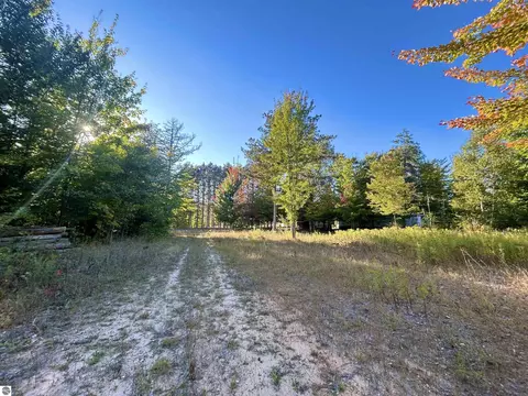 00 Landis Rd, Thompsonville, MI 49683