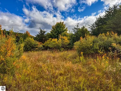 Parcel 3 / 4 E Darga Road, Cedar, MI 49621 photo 4