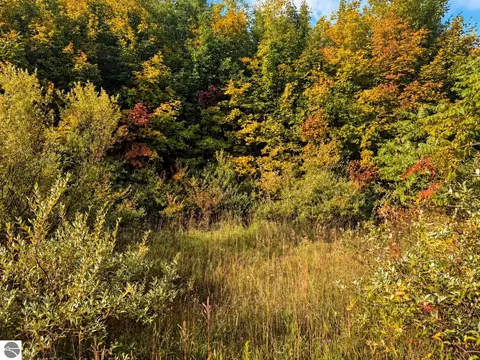 Parcel 3 / 4 E Darga Road, Cedar, MI 49621 photo 8