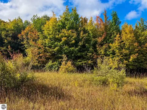 Parcel 3 / 4 E Darga Road, Cedar, MI 49621 photo 9
