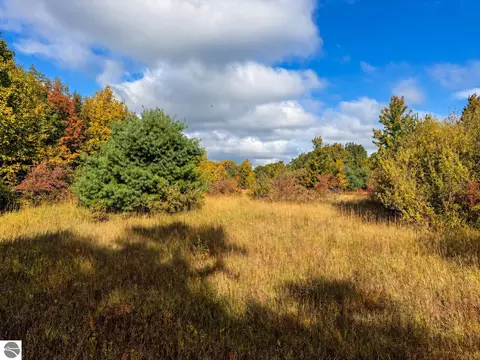 Parcel 3 / 4 E Darga Road, Cedar, MI 49621 photo 3