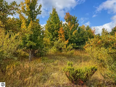 Parcel 3 / 4 E Darga Road, Cedar, MI 49621 photo 14