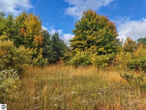 Parcel 3 / 4 E Darga Road, Cedar, MI 49621 photo 18