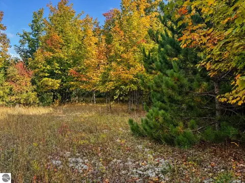Parcel 3 / 4 E Darga Road, Cedar, MI 49621 photo 19
