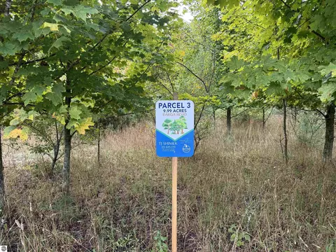Parcel 3 / 4 E Darga Road, Cedar, MI 49621 photo 12