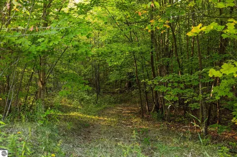 171 NE Colt Rd, Kalkaska, MI 49646