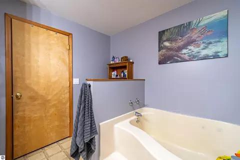 Bath - 11968 E Pickard Rd, Mount Pleasant, MI 48858 photo 2 of 6