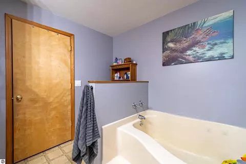 Bath - 11968 E Pickard Rd, Mount Pleasant, MI 48858 photo 2 of 6