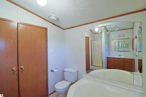Bath - 6065 E Millbrook Rd, Mount Pleasant, MI 48858 photo 1 of 2