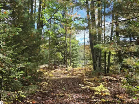 00 Towerline Rd, Hale, MI 48739 photo 7