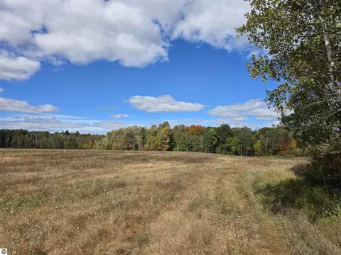 00 Towerline Rd, Hale, MI 48739 photo 3