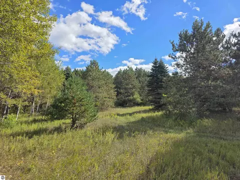 00 Towerline Rd, Hale, MI 48739 photo 8