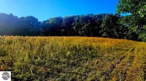 00 Towerline Rd, Hale, MI 48739 photo 12