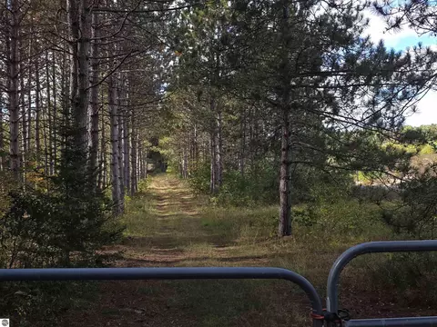 00 Towerline Rd, Hale, MI 48739 photo 9