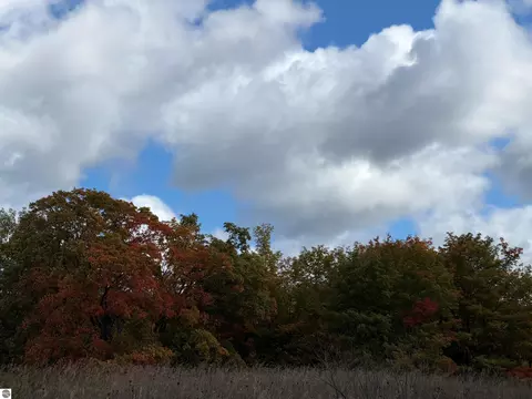 7777 Mulberry Ln, Charlevoix, MI 49720 photo 5