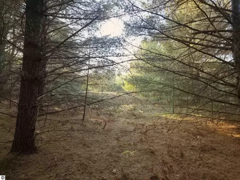 8 Vl Betsie River Rd, Interlochen, MI 49643 photo 3