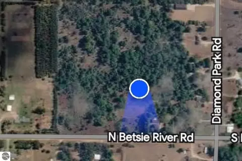 8 Vl Betsie River Rd, Interlochen, MI 49643 photo 13